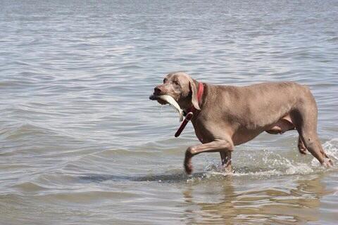 Katey_Todd's tweet photo. hope your already chasing fish at the beach in heaven. I love you Kody🐟❤ http://t.co/O4TgYd4goo