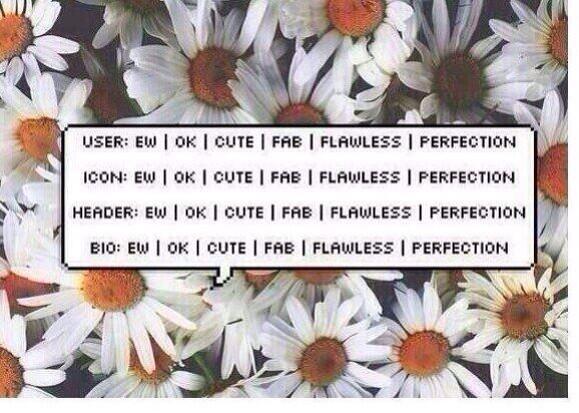 rt for one bc why not