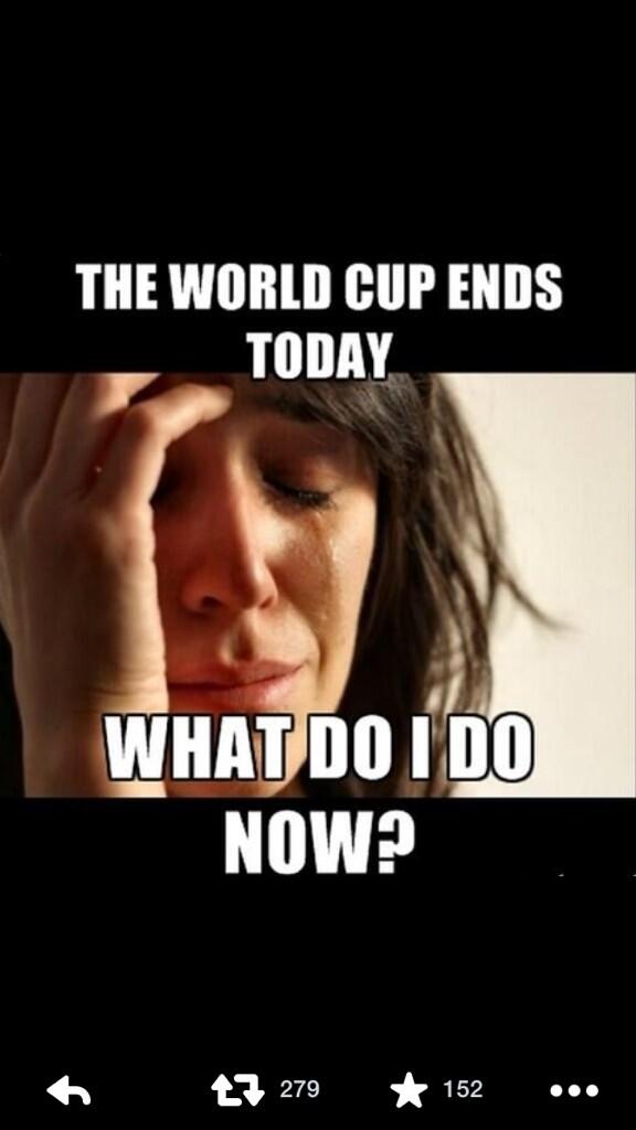 Stephanie tweet media