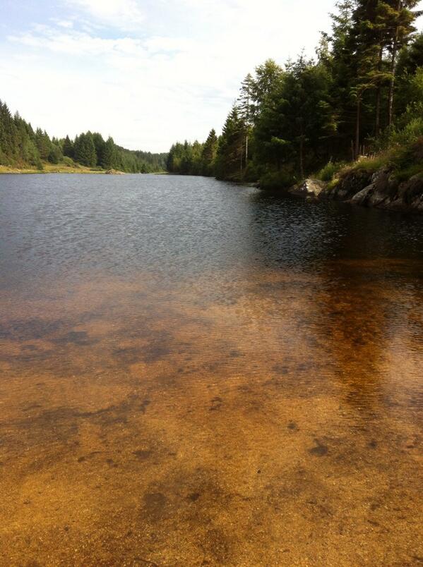 Vaulen ,Radøy,warmest water today#swimming #fun