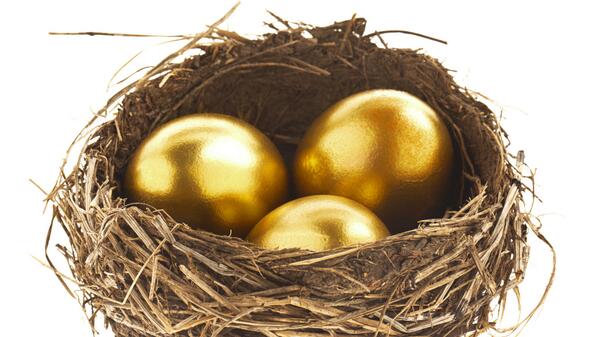 Nest gold. курица с золотыми яйцами. Nest gold. Nest gold. золотое гнездо.