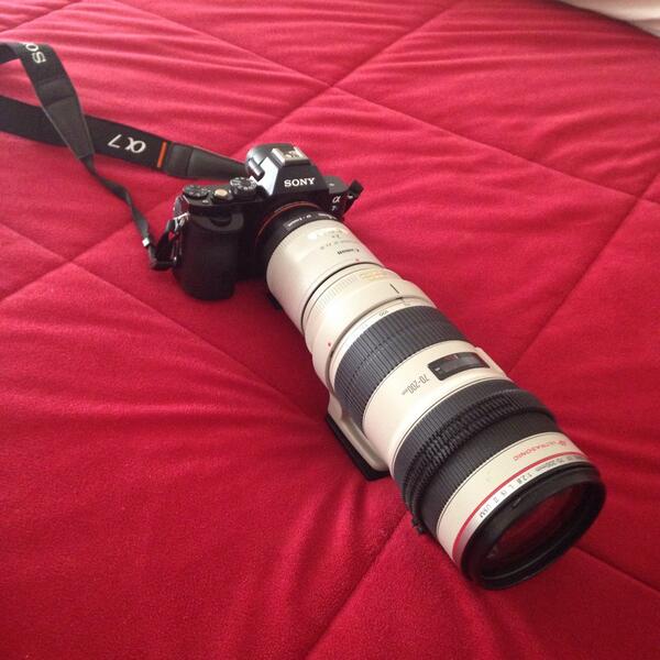 Bryan Olinger tweet media