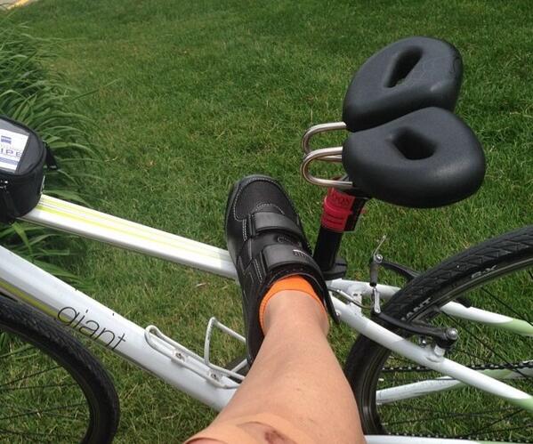 spiderflex bike seat