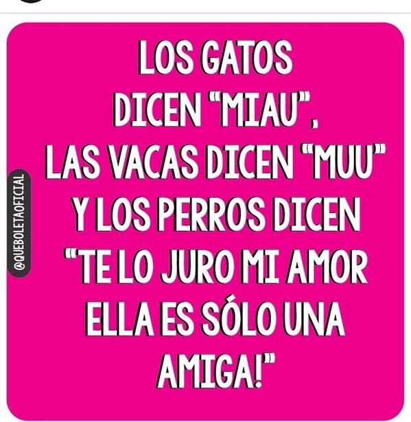 Danielac_1224's tweet photo. Jajaja buenísima 😂😂😂 http://t.co/zGKxR6k0uS