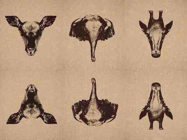 StumblerTop's tweet photo. it’s all about perspective http://t.co/bCSUqNmJPs