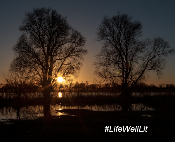 TransitionsOZNZ's tweet photo. How is your Life Well Lit? Share your beautiful shots with us by using the hashtag: #LifeWellLit http://t.co/VVvcID5VUp