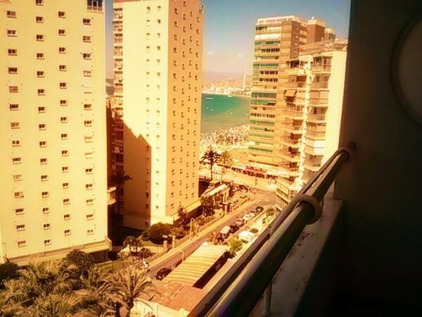 NoeCheca tweet picture