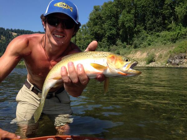 ChaceBell's tweet photo. Good day of fishin in north Idaho. @repyourwater @spokaneflyshop #cutthroat #nativefish http://t.co/jXtnZCtx8M