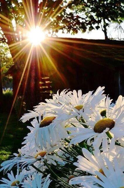 ?A little spark of #Kindness can bring sunshine into someone's life.?#JoYTrain RT @PardueSuzanne
