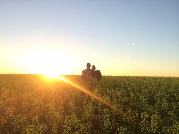 Checking crops with Dad and @Condawg6