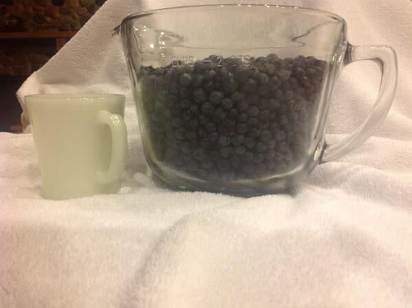 cushingclaire's tweet photo. #wild blueberries, 2 quarts http://t.co/c8lWfKXd28