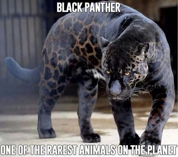 GoswamiSsomnath's tweet image. 