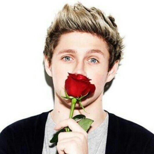 1DFandomSite's tweet photo. Imagine niall giving u this rose♡ #onedirection #1D #wwat #wwa #niallhoran #followback #followback #f4f #wereweare http://t.co/eXBJJIAODY