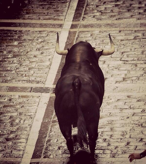 7Christinna's tweet photo. "@Davidbustos_99: Se acabaron los encierros, se acabó San Fermín. Nos vemos en 2015!!! ¡¡¡Viva San Fermín!!! http://t.co/4cUgs7HT8E"