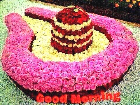 dilipsingh_dr's tweet photo. Hello http://t.co/KvqmfFg7J0