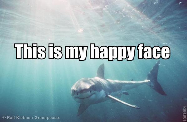 Greenpeace's tweet image. Smile, it&apos;s #SharkAwarenessDay! RT if you love #sharks too!
