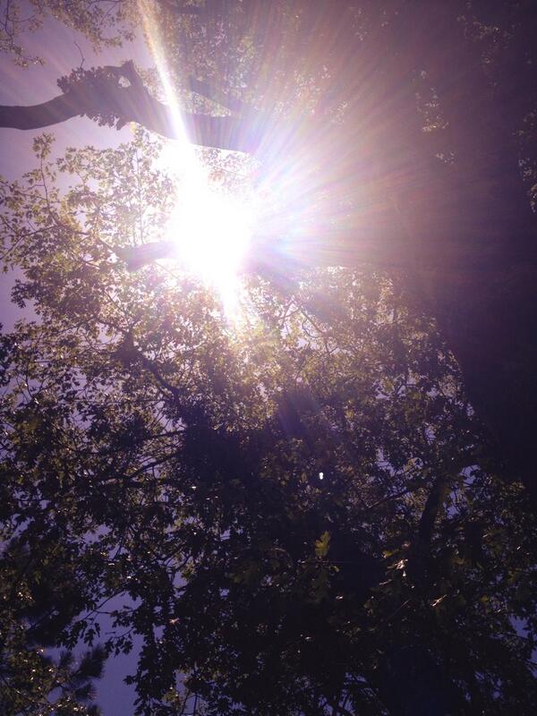 JulieAm2's tweet image. I feel heaven watching over me