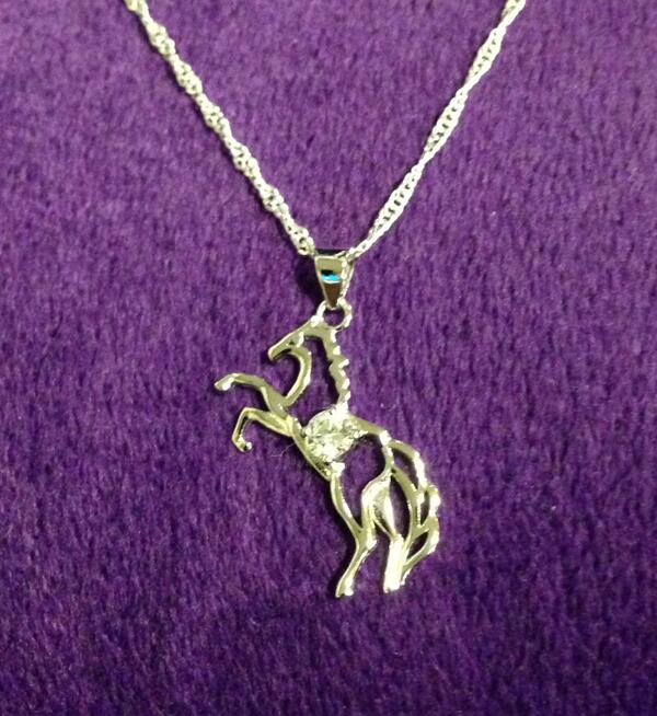 These beautiful sterling silver horse pendant &amp; necklaces are available to purchase on our website.  Our Price $59.95