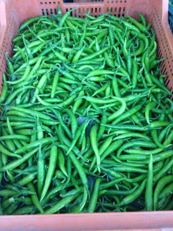 Chili hot peppers!!
