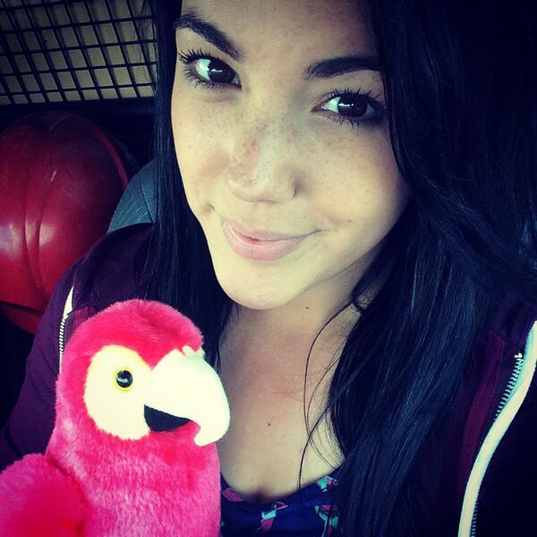 KaytieLou's tweet image. My love for macaws is too much! Excited for work tomorrow #welshmountainzoo #lucky #LoveMyJob