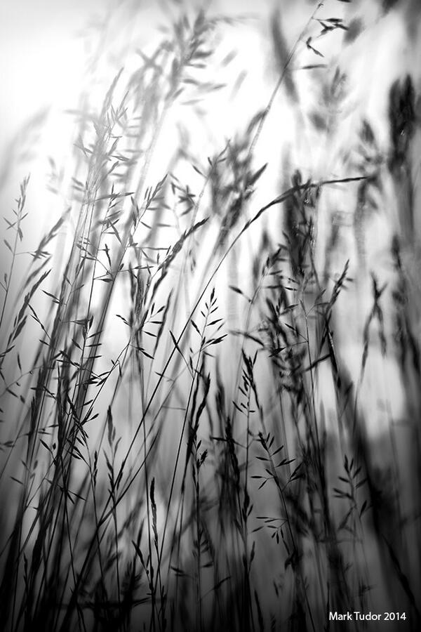 ukpackshot's tweet image. From last nights images #brumisbrill #photographer #Birmingham #BirminghamBrummies #derby