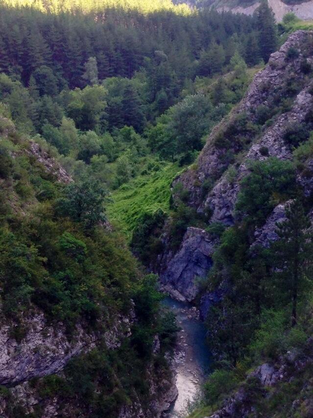Permalien de l'image intégrée