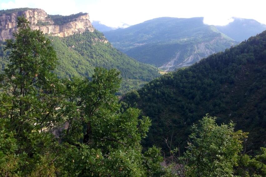 Permalien de l'image intégrée