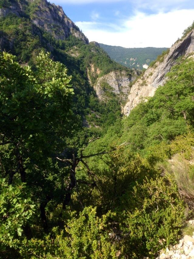 Permalien de l'image intégrée