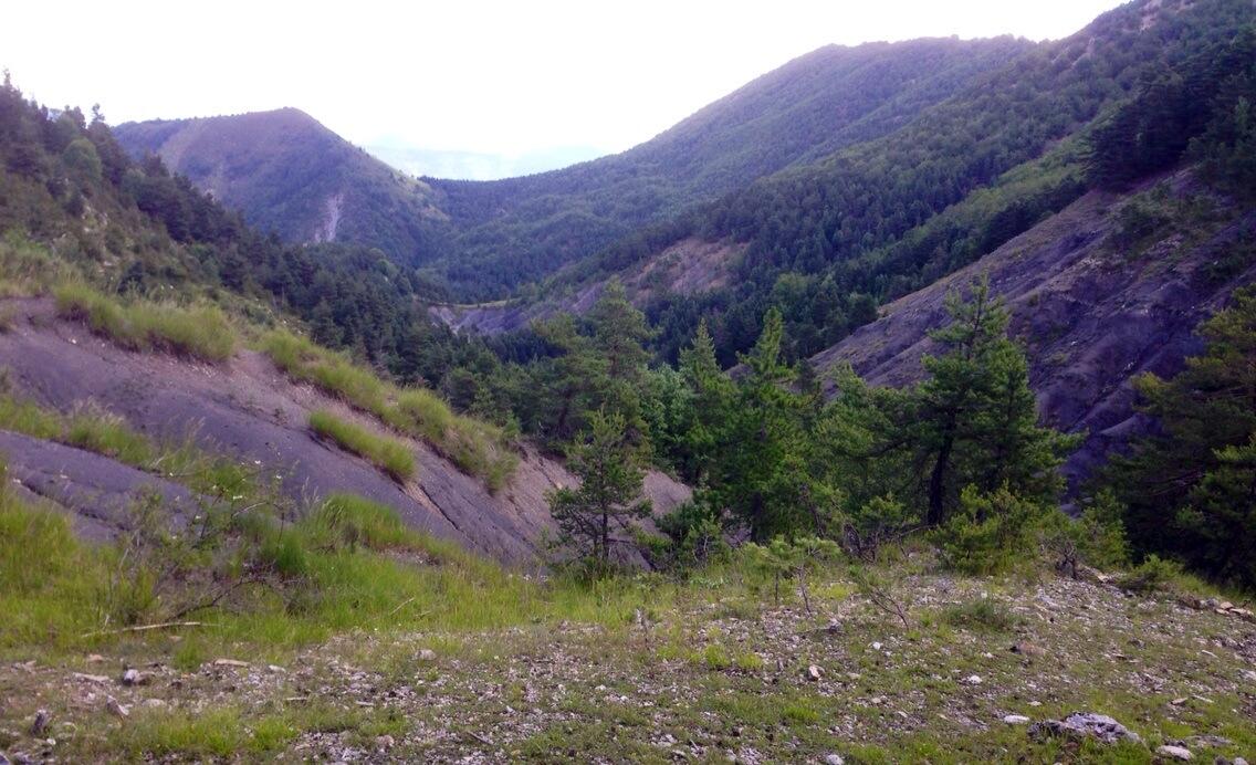 Permalien de l'image intégrée