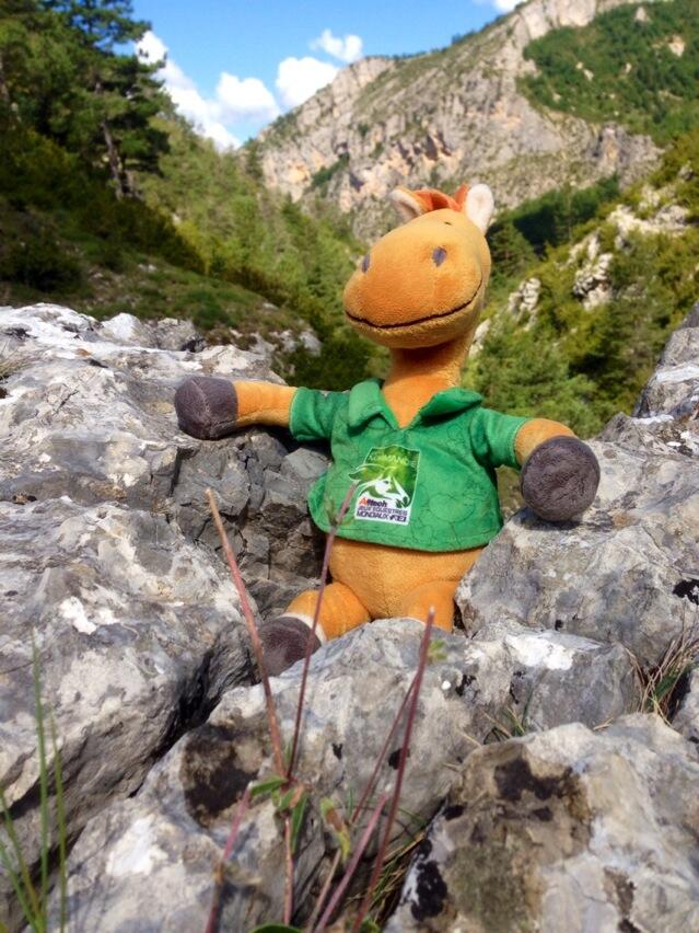 Permalien de l'image intégrée