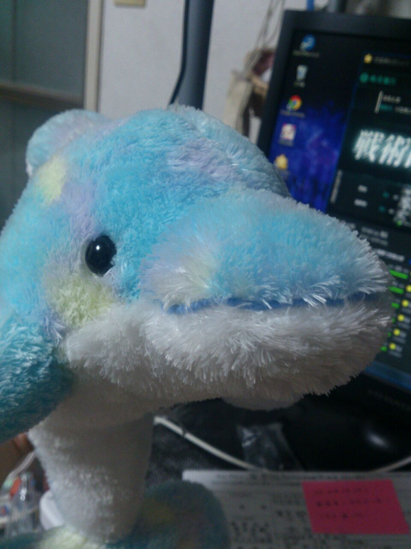 美ら海水族館のお土産で人気なのはぬいぐるみ 1番人気は 子連れ旅行を楽しむ鉄板ブログ もう国内旅行は迷わせない