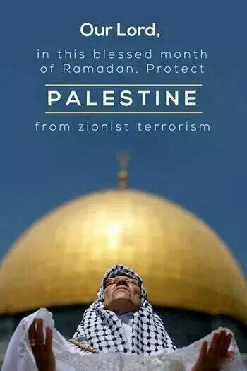 HammadTagreed tweet picture