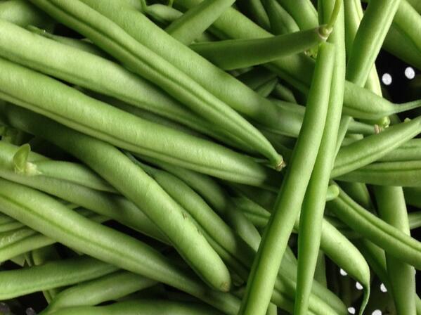 My first ever crop of home grown French (squeaky) beans #gardeningsuccess #yummy