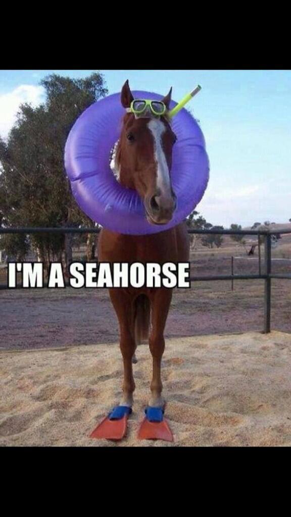 JenniferJeltsch's tweet photo. Hahahaha http://t.co/noBaJKmG5b