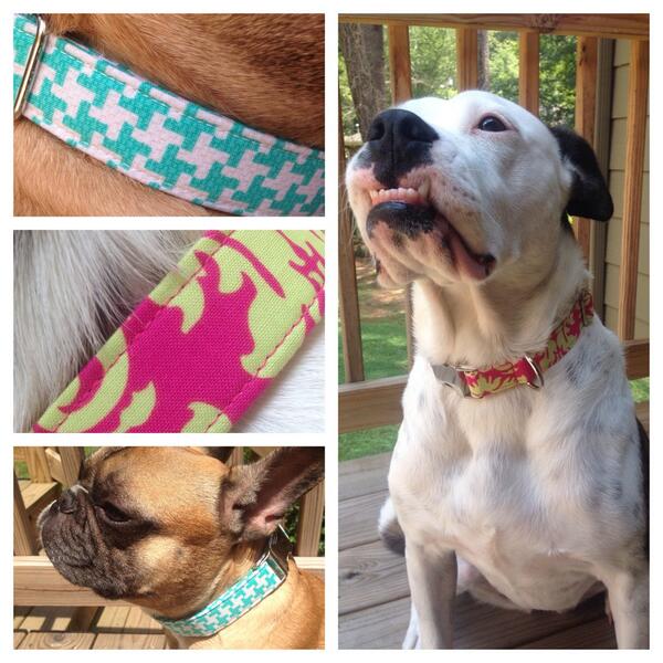 We love the new collars we just added to our website. pawsitivelywholesome.com
