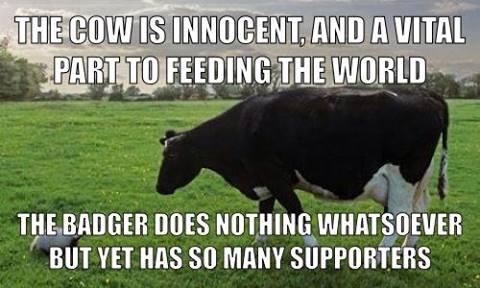 Mr George Minish (@tgminish) on Twitter photo 