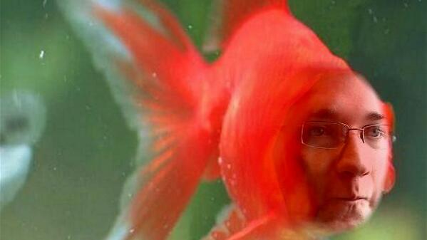 SoMuchAndiMatz's tweet photo. #GoWithTheFlow http://t.co/FbuG8SZfqk