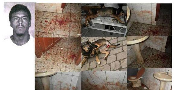 patas_de_gato's tweet image. Sign &amp;amp; RT, please: European Parliament: Implement an animal abuser registry chn.ge/1m7bNsI #OpNullDenmark
