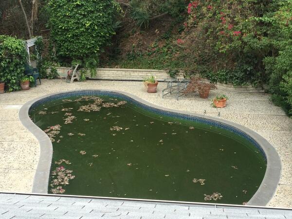 LisaPierozzi's tweet image. Having a stand-off w/the pool guy. Sadly, I think he&apos;s winning... #failuretocommunicate