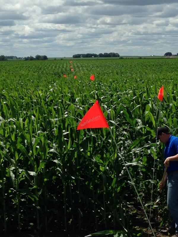 MHommez's tweet photo. You wonder what these flags are for?  Find out Wednesday morning at the Britt Answer Plot! #WinFieldInsight #Suspense http://t.co/zRSobujQw7