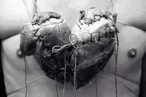 HechosEnElMundo's tweet photo. La forma tan conocida del corazón que dibujamos, se debe a la unión de dos corazones. http://t.co/nVvg6YBwCx