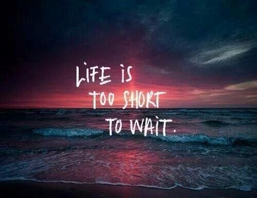 bij_wilma's tweet photo. http://t.co/ei9U1SmMiH