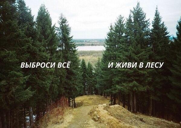 Protection forest. Дарк форест густой лес. Леса. В каком лесу жить. Данила ткаченко побег.