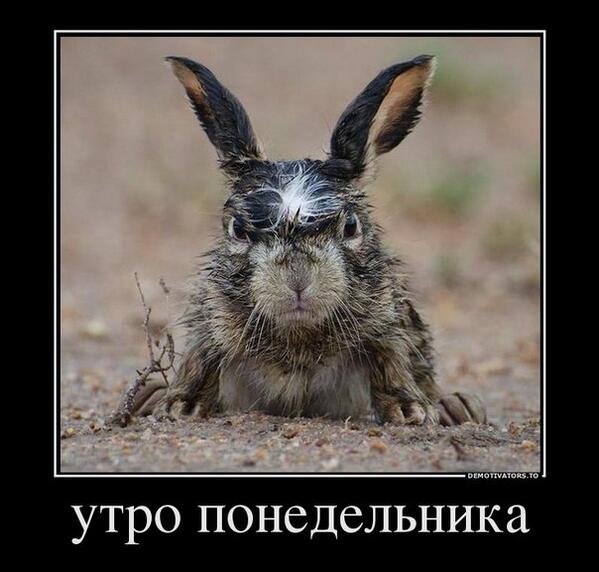 Polina1lq4's tweet photo. http://t.co/OVzEse0AIC