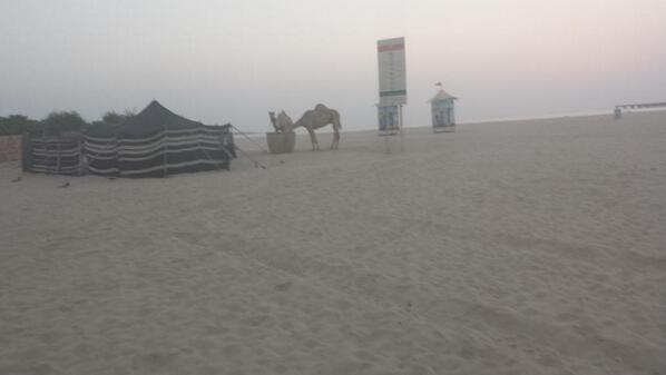 alanwright2305's tweet image. Sunset