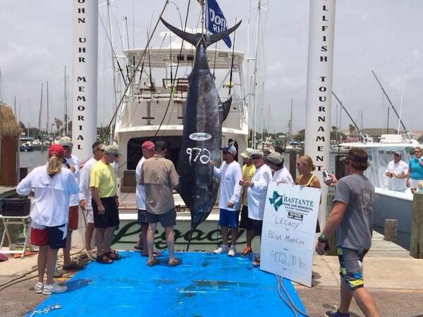 cbarnIV's tweet photo. Congrats to the Legacy for breaking our family's 26 year old record of 876.5 pounds http://t.co/2sr5AoAgZn