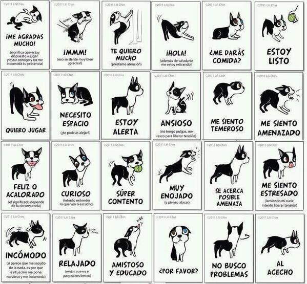Tropagoofypinto's tweet photo. Trucos para madres y padrea primerizos. http://t.co/x4mg8j0hci