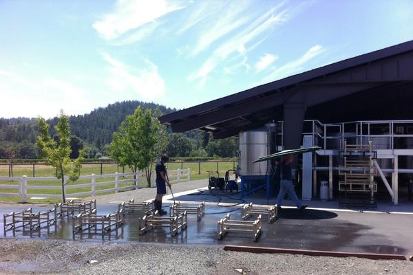 Winery work is never ending! #Racking #Winery #Calistoga #WineCountry