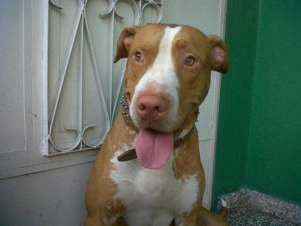mezoRG4L's tweet photo. Zeus http://t.co/Rm2XzR2wBl