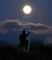 sufim18's tweet image. .MooNight.  #PROEDITOR